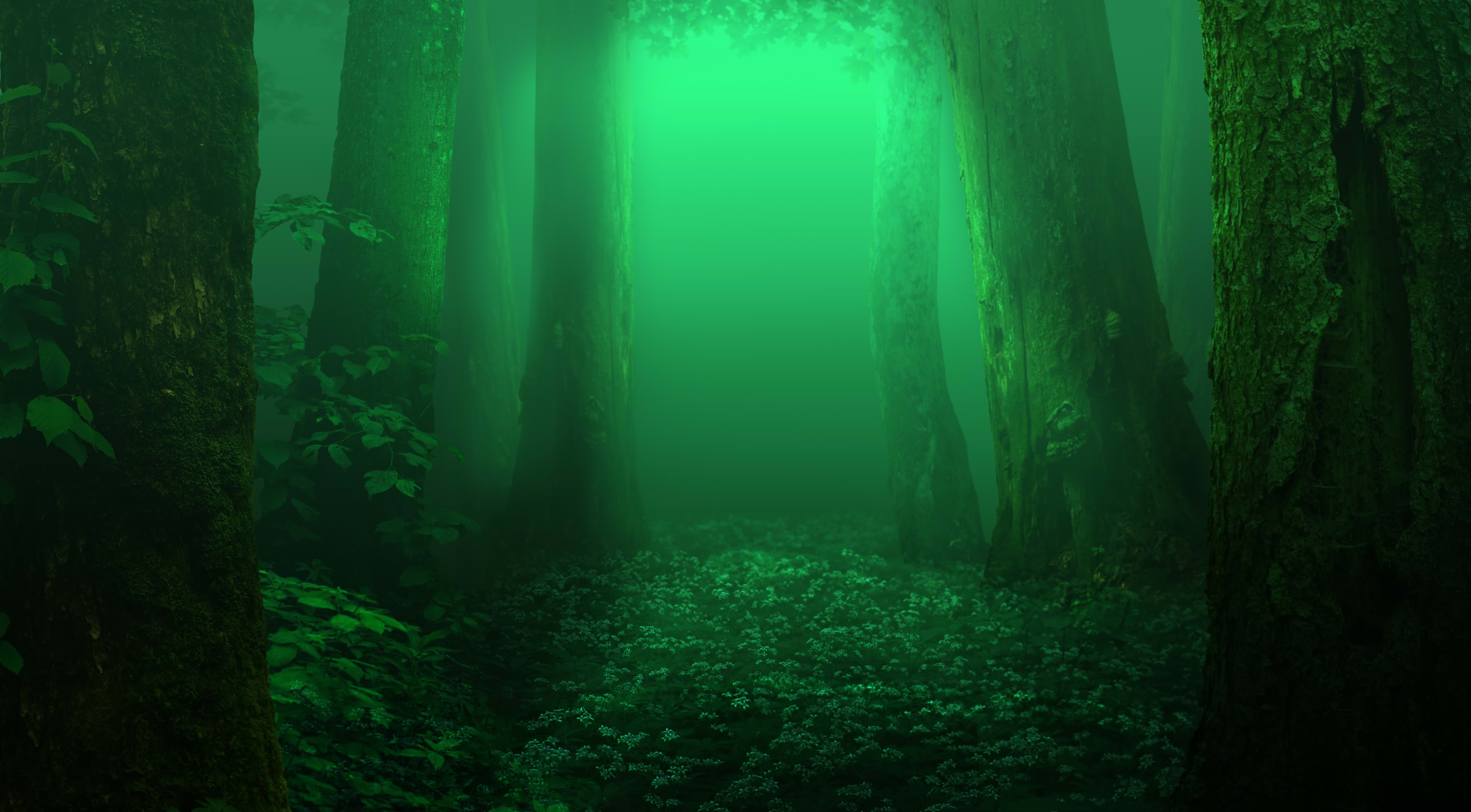 Maulbeeren na 228.sk- pomôž si sám.