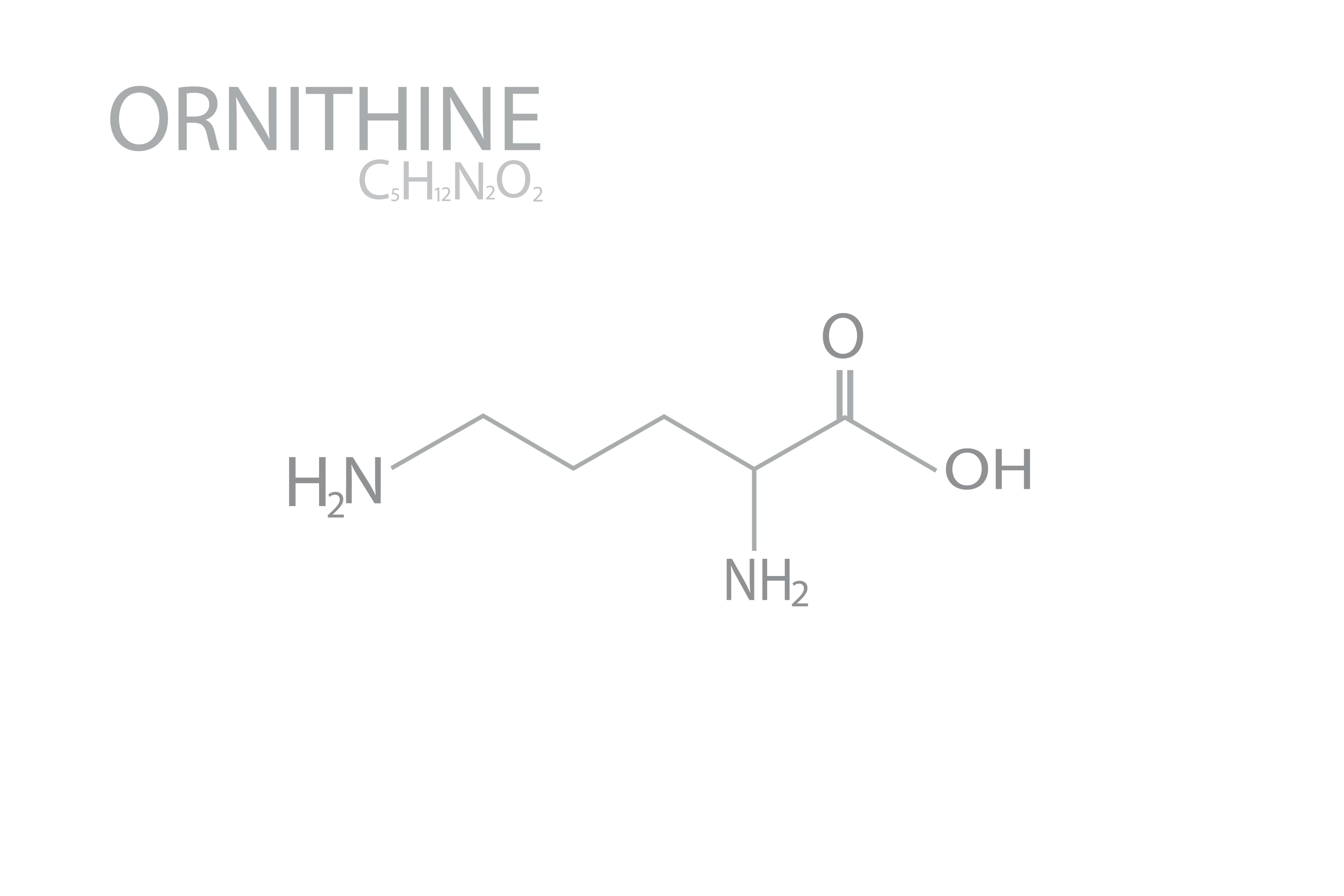 Ornithin na 228.sk- pomôž si sám.