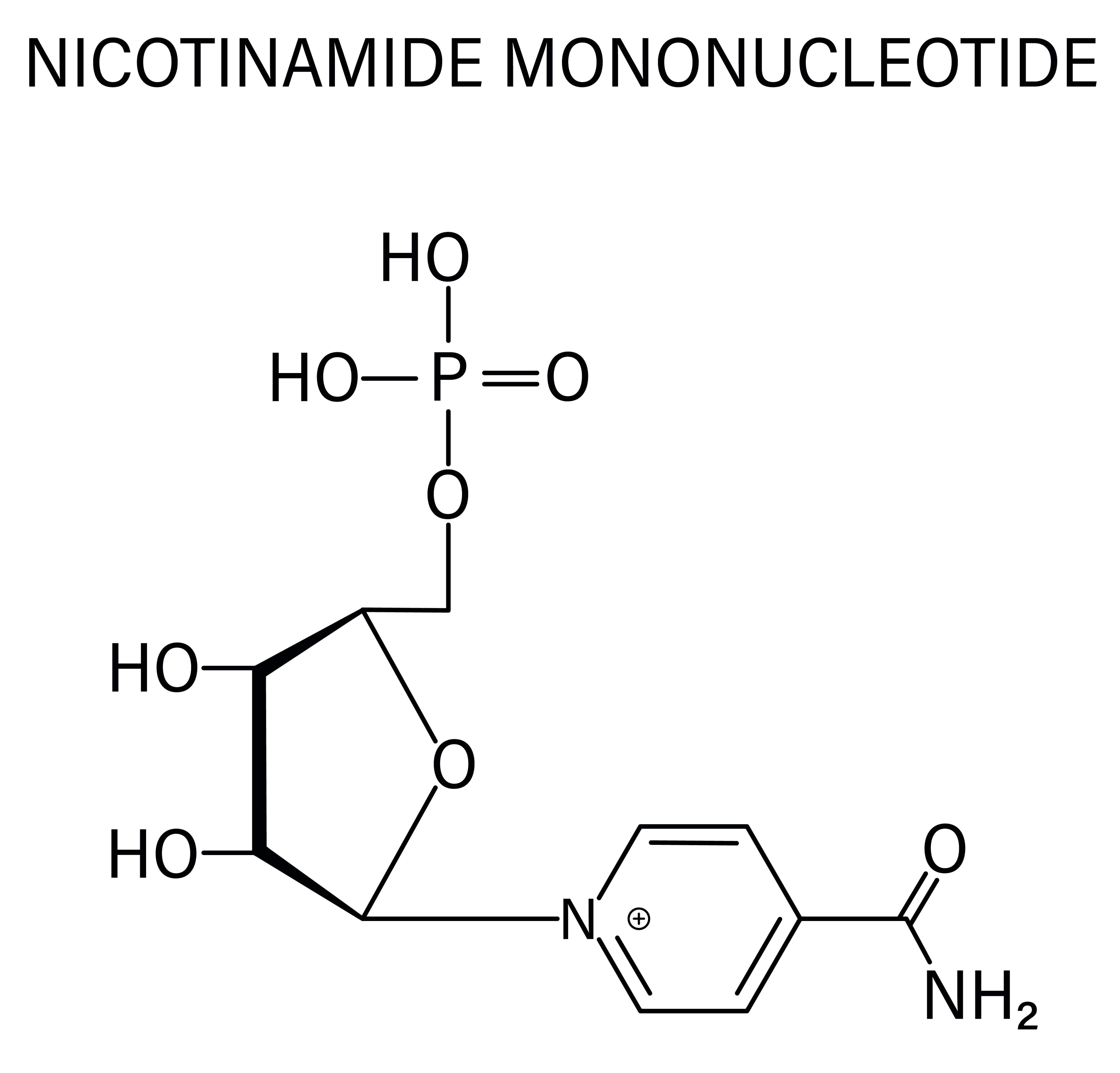 Nikotínamid Mononukleotid (NMN) na 228.sk- pomôž si sám.